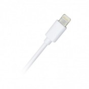 Cable Lightning