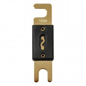 Fusibles ANL 100A