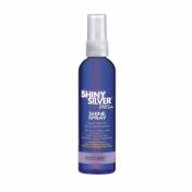 Shine Spray SILVER